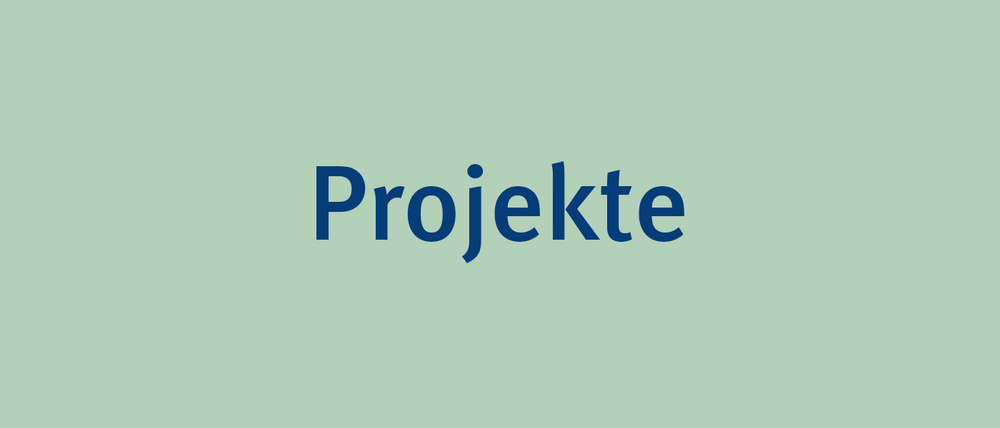 Projekte